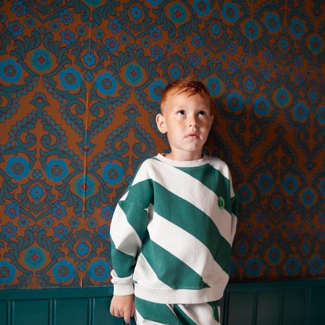 Load image into Gallery viewer, Green Striped Kids Sweater - Crazy Crocodile
